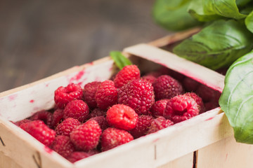 Close-up of a ripe juicy berry of raspberries in a wicker basket with green basil leaves