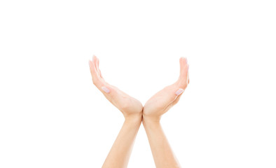 Woman hands holding something invisible, isolated on white. Put or add any image or symbol between...