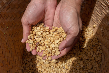 Coffee beans. On a wooden background rotation