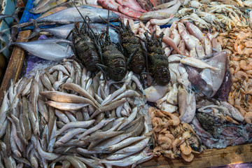 fish at the fish market
