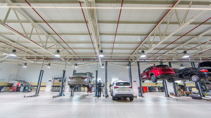 Cars moves on lifts in modern service station and men repair cars timelapse.