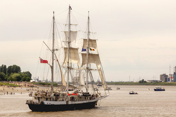 The cathedrals of the sea