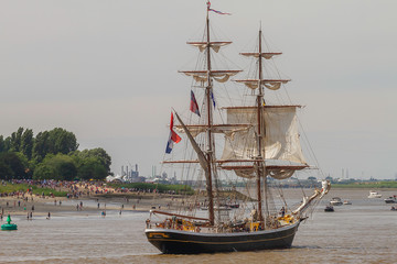 The cathedrals of the sea