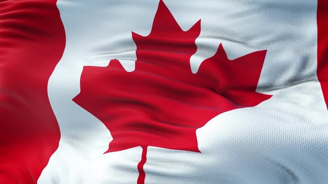 Flag of Canada waving. Seamless loop with highly detailed fabric texture. Loop ready in 4k resolution.