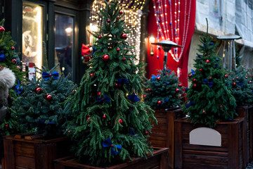 Decorated Christmas trees in pots near house on night street