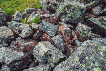 Multicolored boulder stream. Loose rock close up. Plants among randomly scattered stones. Amazing...