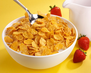 BOWL OF CORNFLAKES