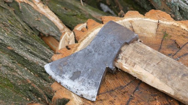 Ax lying on tree stump on a background of sawn trunks. Firewood for the winter.