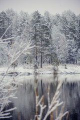 Winter landscape: snow-covered forest on the lake, the reflection of snow trees in the water.