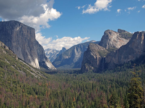 view over Yosemite Valley from Wawona Tunnel vista point with El Capitan on the left, Half Dome on axis and Bridalveil Fall on the right, California, USA