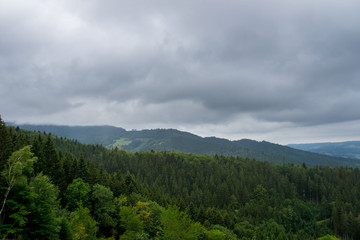 Fototapeta na wymiar Germany, Dramatic rain cloud sky over intense green forest landscape