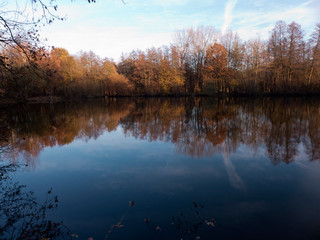 Herbstspaziergang entlang eines kleinen Sees. Die herbstlich gefärbten Bäume spiegeln sich im...