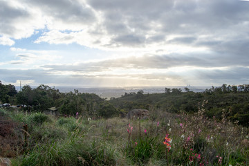 Landscape of Perth city from Mundaring at spring first flowers