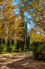 Naklejka premium jesień w parku