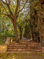 alley in the park