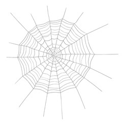 3d illustration of a spider web - 236317681