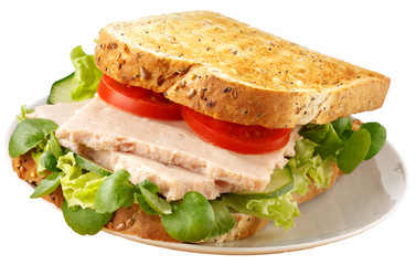 TOASTED TUNA FISH SANDWICH
