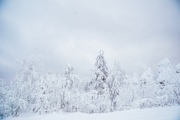 Winter Landscape with Stone Rock Covered with Snow - South Ural mountains, Russia