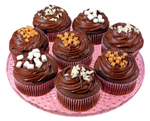 PLATE OF CHOCOLATE FROSTED CUPCAKES OR MUFFINS