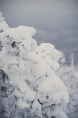 Winter Landscape with Stone Rock Covered with Snow - South Ural mountains, Russia