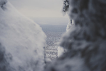 Top view from the ski slopes among the spruces on snow covered and foggy valley on the background mountain peaks. Skiing park Kubinska Hola  Western Tatras Travel destination for winter vacations . © malykalexa777