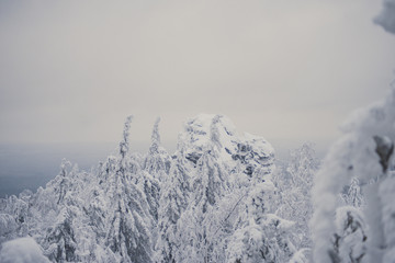 Top view from the ski slopes among the spruces on snow covered and foggy valley on the background mountain peaks. Skiing park Kubinska Hola  Western Tatras Travel destination for winter vacations . © malykalexa777