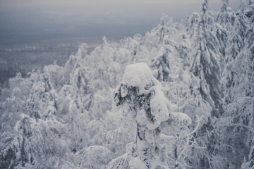Top view from the ski slopes among the spruces on snow covered and foggy valley on the background mountain peaks. Skiing park Kubinska Hola  Western Tatras Travel destination for winter vacations . © malykalexa777