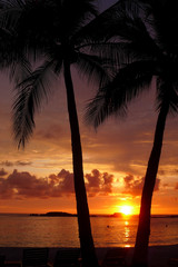 Tropical Paradise Sunset on the sandy beaches of Punta Mita, Mexico