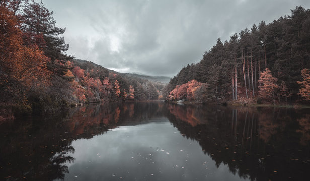 Amazing river between autumn forest and hills