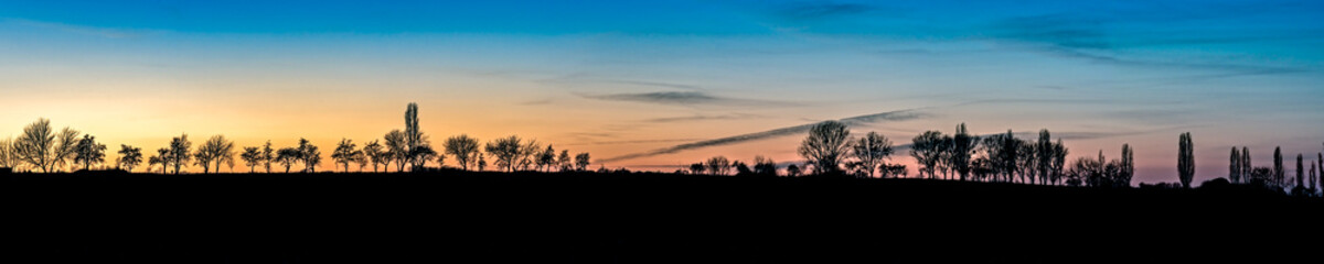 Fototapeta na wymiar Bäume bei Sonnenuntergang