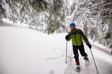 Fototapeta na wymiar Traveler goes snowshoeing among huge pine trees