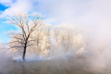 Winter landscape of trees and river in a foggy morning. Frost and cold and sunshine.
