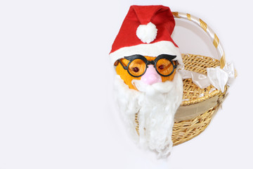 poked dressed in Santa Claus costume