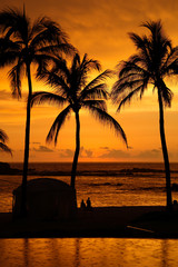 Reflection of the sunset in a swimming pool near the ocean on the beach in Punta Mita, Mexico