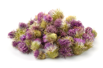 Pile of dried cotton thistle flowers