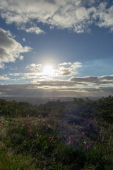 Landscape at sunset from Mundaring area