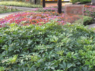 Cosmovitrail, jardin botanique de Toluca - Mexico