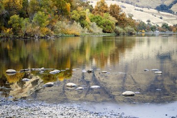river in forest