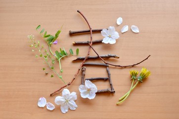 枝で描いた春の文字と春の花