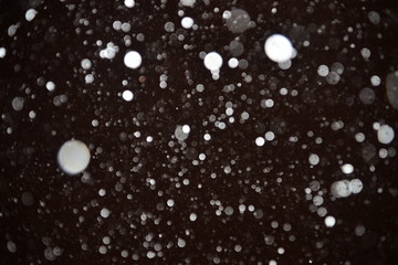 The texture of the flying snow on a black background.