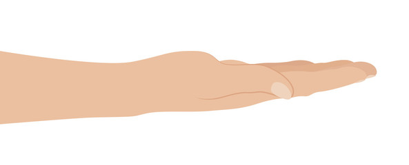 Woman hand on white background