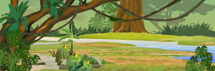 River in the jungle. A tropical forest. Rainforests of Amazonia. Tree, epiphytic ferns, creepers, banana trees and monsteras. Realistic Vector Landscape © AnnstasAg
