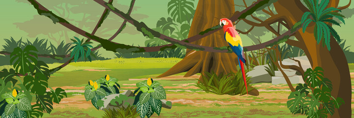 One adult macaw parrot sitting on a liana. Jungle. A tropical forest. Rainforests of Amazonia. Tree, epiphytic ferns, creepers, banana trees, flowers and monsteras. Realistic Vector Landscape © AnnstasAg