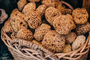 Many sea sponge in a wicker basket in the store