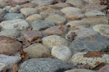 pavement stones macro