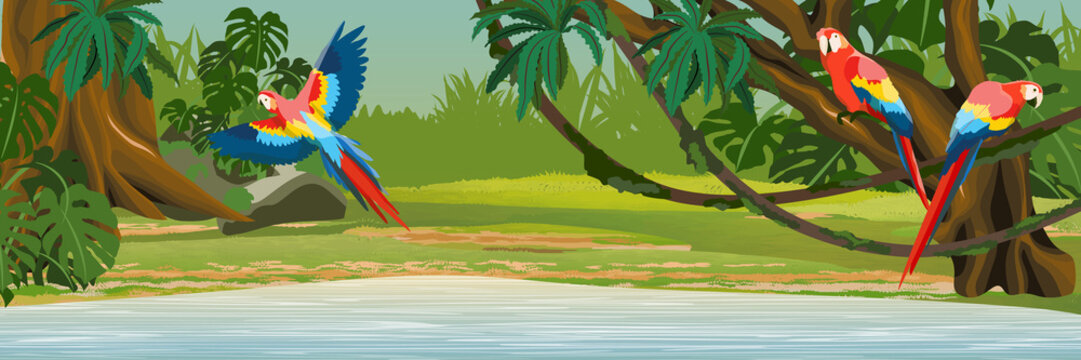 Macaw parrots sit on the branches and fly over the lake in the jungle. A tropical forest. Rainforests of Amazonia. Tree, epiphytes, creepers, banana trees and monsteras. Realistic Vector Landscape