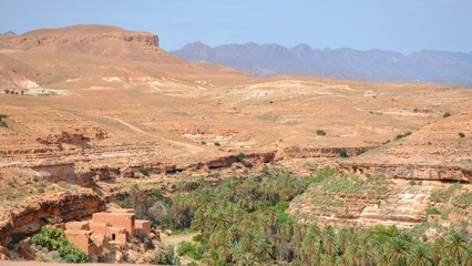 Fototapeta na wymiar Wild North Algeria