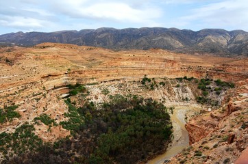 Wild North Algeria