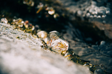 Pieces of the crystal clear ice in fireplace.Texture of stones