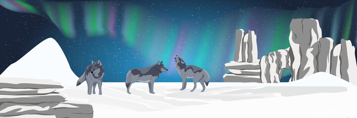 A pack of wild wolf stands in a snowy northern valley and looks at the night sky. Realistic Animals USA, Canada, Russia and Scandinavia. Vector landscape